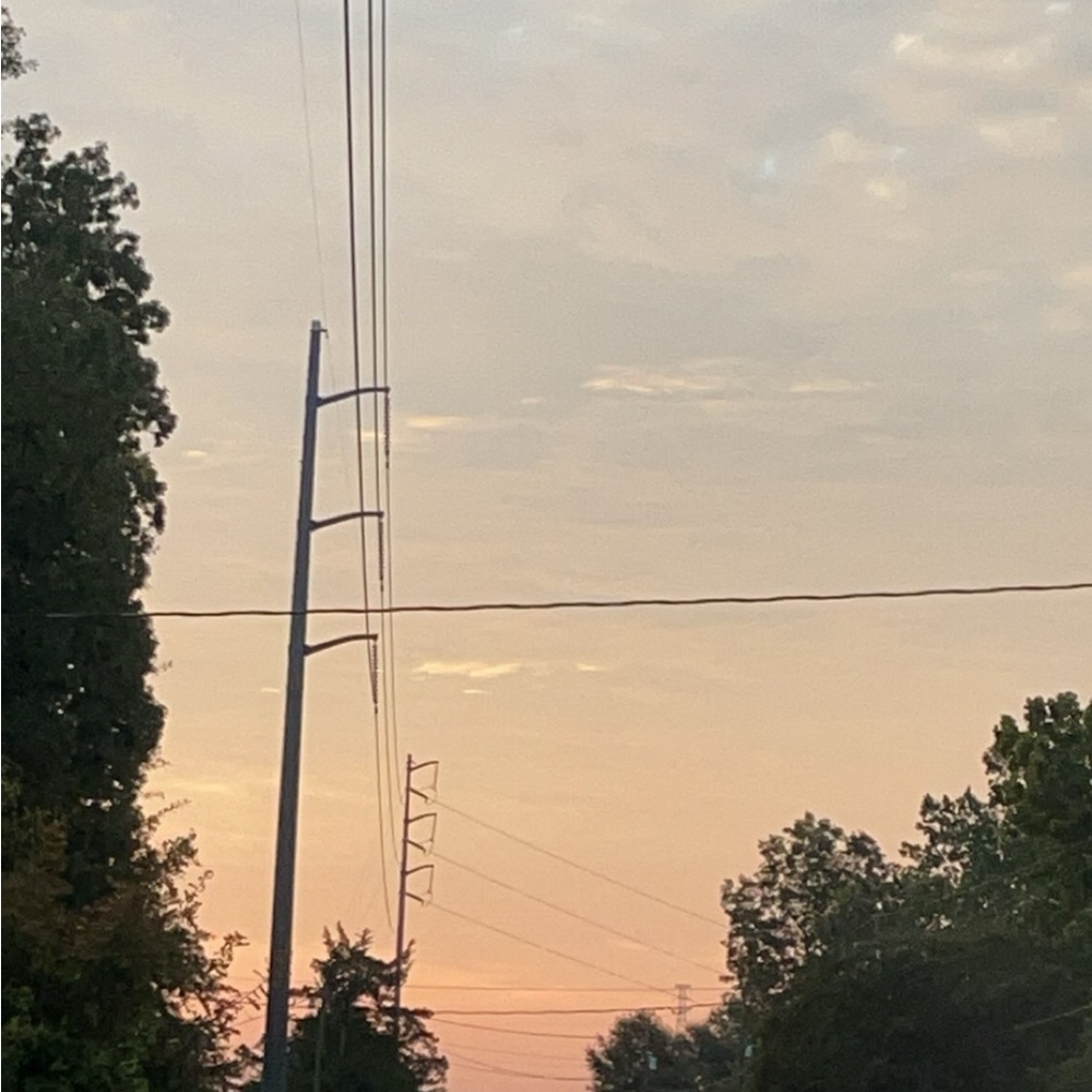 Meet your Posher, Carlee